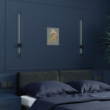 North Island of Tas Poster